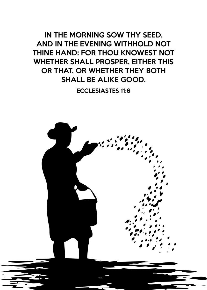 'Ecclesiastes 11 6' Poster, picture, metal print, paint by ABConcepts | Displate