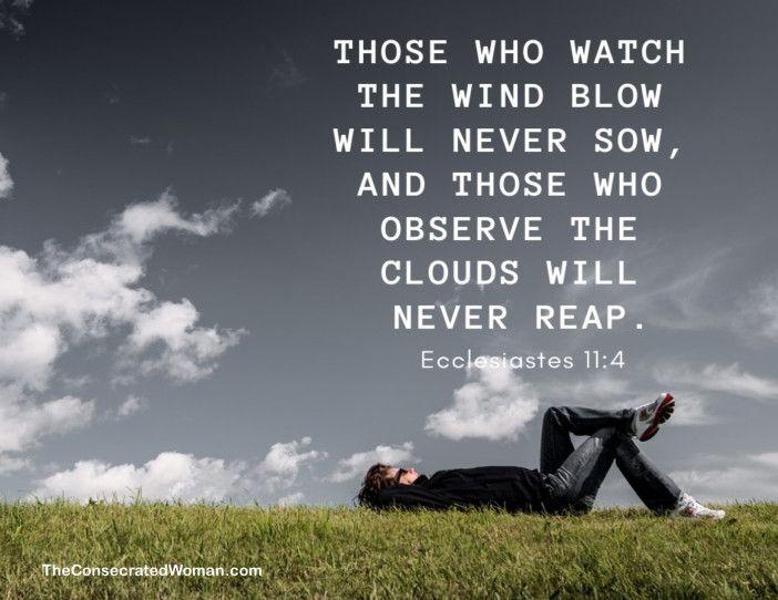 ecclesiastes 11 4 | Ecclesiastes 11, Biblical encouragement, Ecclesiastes