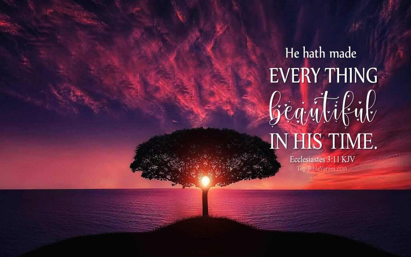 Ecclesiastes 3:11 KJV Desktop Wallpapers | Bible Verse Wallpapers