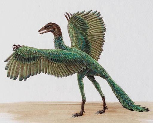 http://www.toptenz.net/wp-content/uploads/2010/02/archaeopteryx.jpg