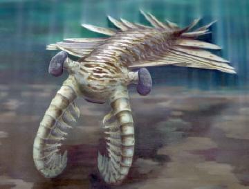 http://www.newgeology.us/Anomalocaris.jpg