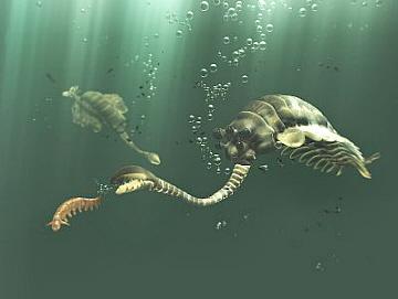 http://www.newgeology.us/Opabinia.jpg