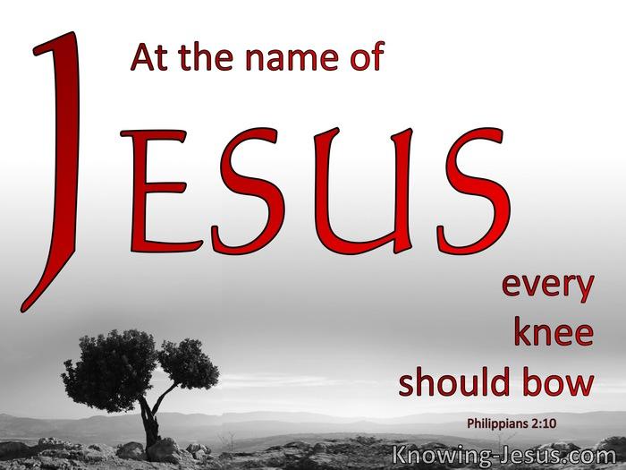Every Tongue Will Confess Verse