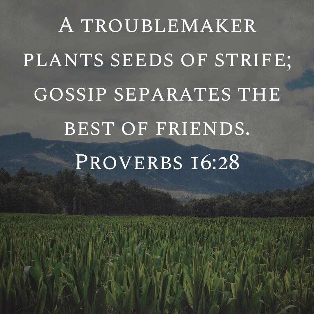 Proverbs 16:28 | Proverbs 16 28, Proverbs 16, Life quotes