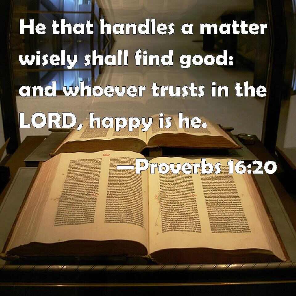 Proverbs 16:20 He that handles a matter wisely shall find good: and whoever trusts in the LORD ...