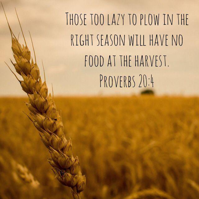 Pin on GOD IS LOVE! GOD IS LOVE!