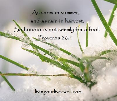 Living Our Lives Well: Proverbs 26 Scripture Pictures