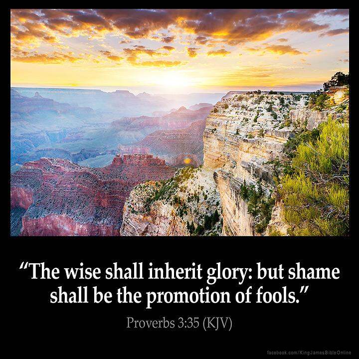 Proverbs 3:35 Inspirational Image