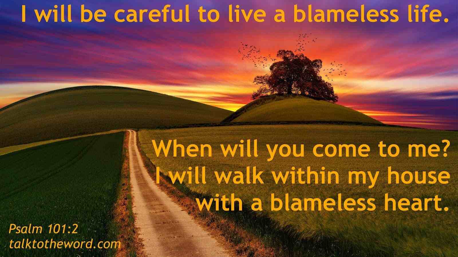 The Psalms 101: Catholic Guide to Sacred Songs of the Church | LEARN25