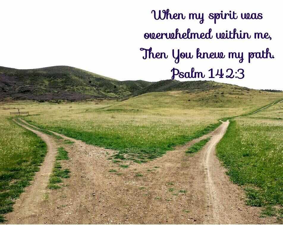 Psalm 142:3 | Psalm 142, Psalms, Spiritual warfare