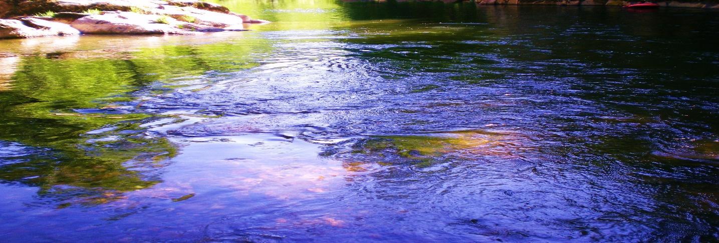 ARTDOXA - Community for Contemporary Art - Francois Foucras