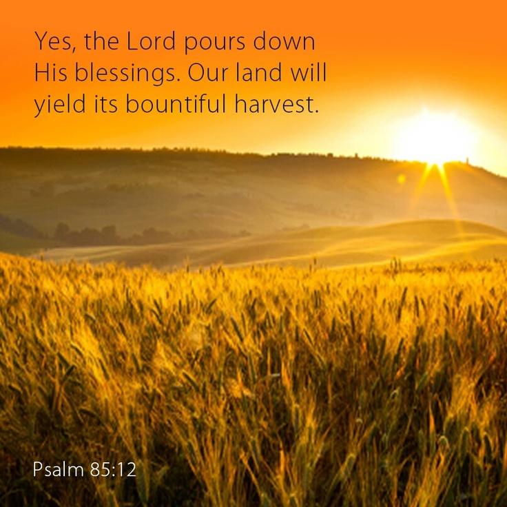 Psalms 85:12 | Psalms, Shadow of the almighty, Book of psalms