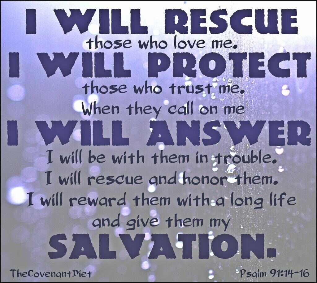 psalm 91.14-16 verse | Psalm 91 14, Inspirational quotes, Verses
