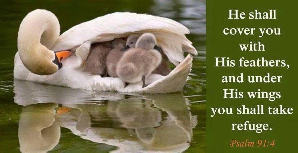 His shelter is far better that what we make for ourselves without Him my friend! # ...