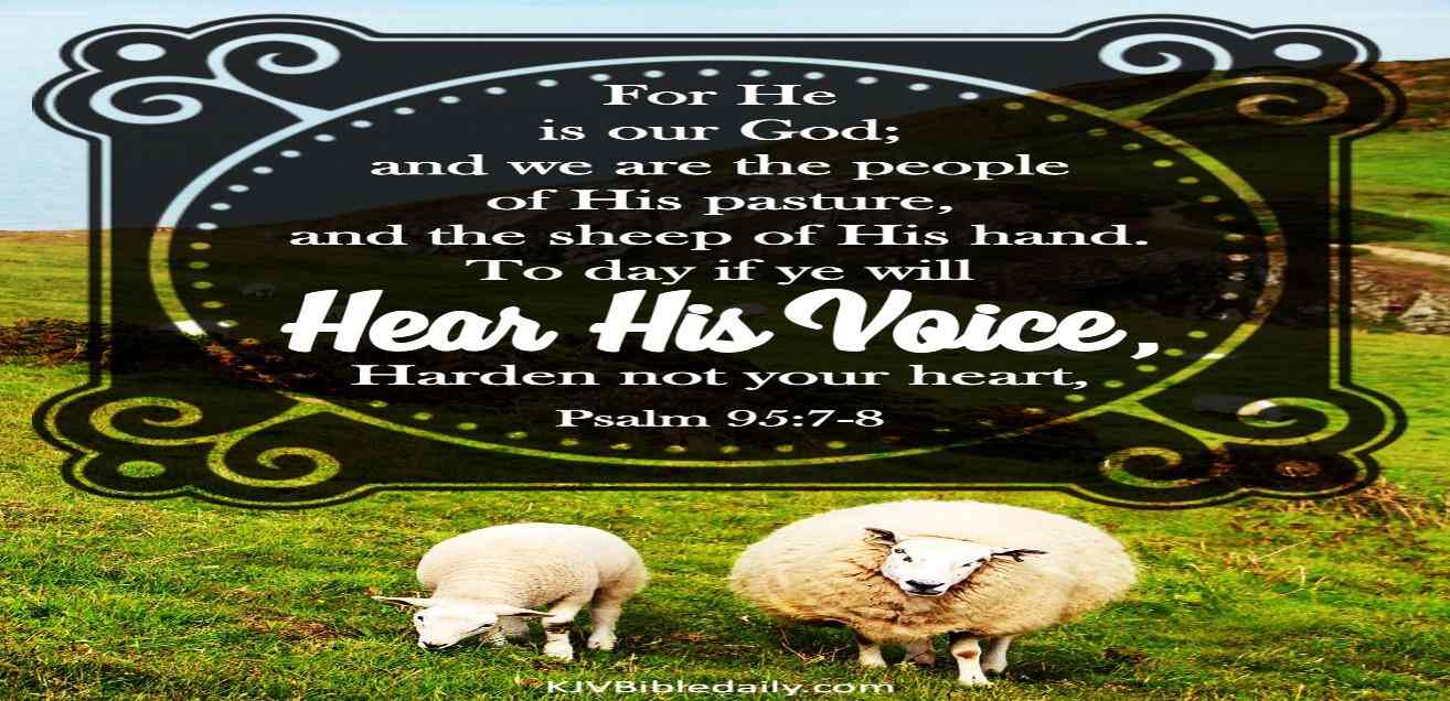 Psalm 95:7-8 KJV – KJV Bible Verses