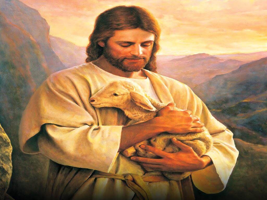 Holy Mass images...: JESUS - Good Shepherd