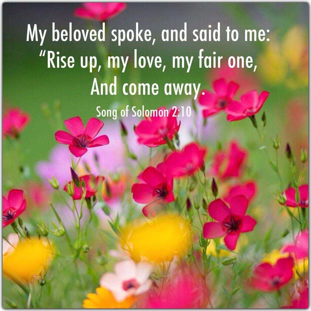 Song of Solomon 2:10 | Encouraging Bible Verse