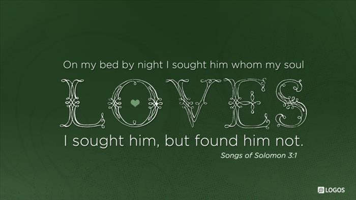 Song of Solomon 3:1–4:16 NET - All night long on… | Biblia