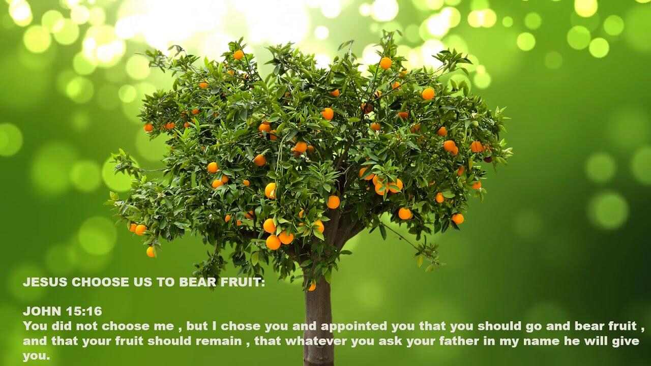 Live a fruitful life in Christ. (fruits of Holy Spirit) - YouTube