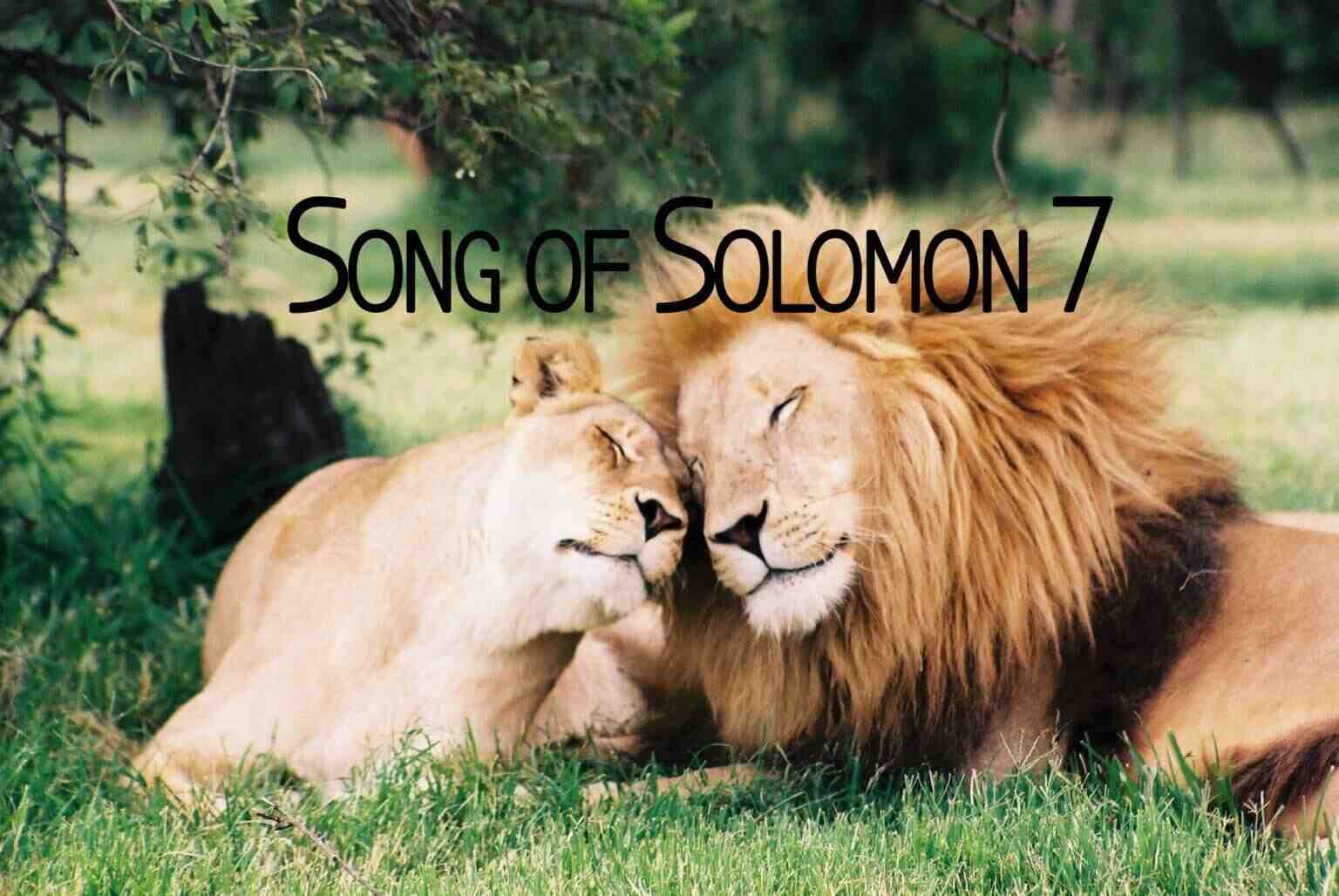 Song of Solomon 7 » Living Hope Bible Blog Commentary